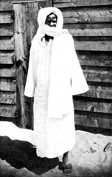 serigne bamba